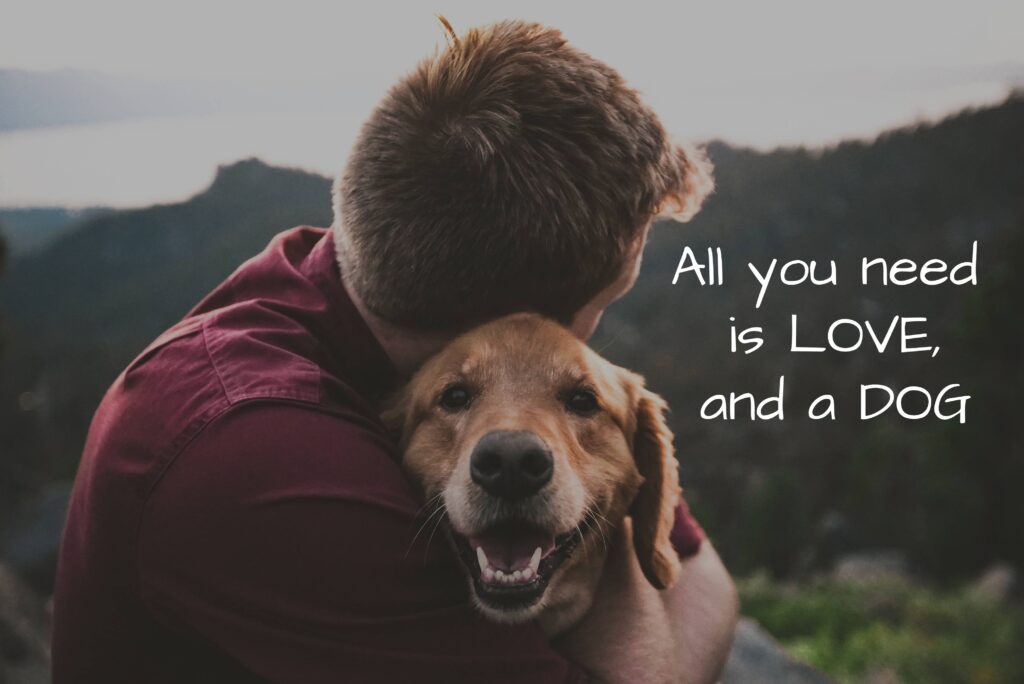 Man hugging his dog overlooking a forest creating an irregular background
Photo by Eric Ward on Unsplash
  