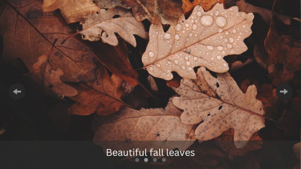 Carousels slide featuring an image with beautiful fall leaves. There is low contrast on the navigation buttons, slider indicator, and the image caption.